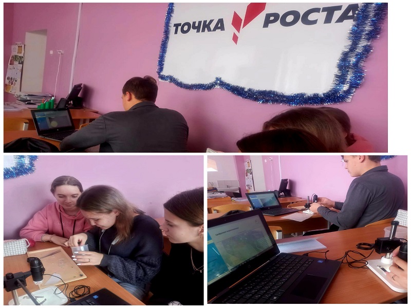 Строение клетки.