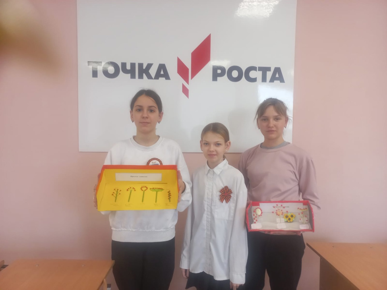 Проект &amp;quot;Соцветия&amp;quot;.