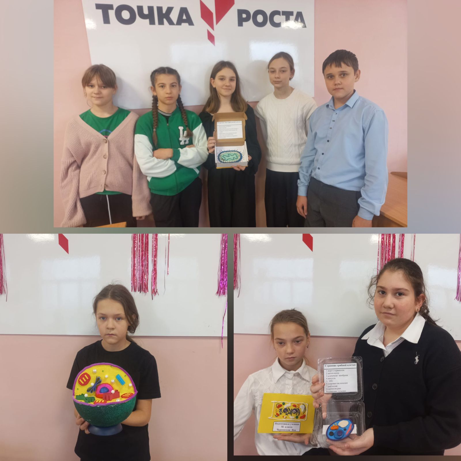 Модели клеток.